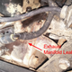 Illustration for article titled Heres How You Can Make Sure Your Car Is Safe To Drive
